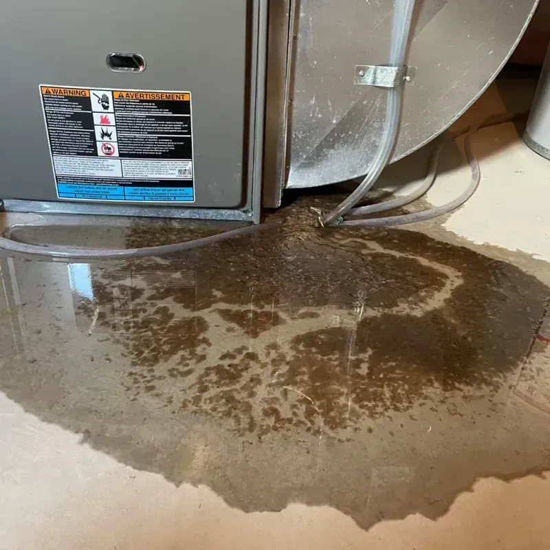 Appliance Leak Cleanup in Guaynabo, PR